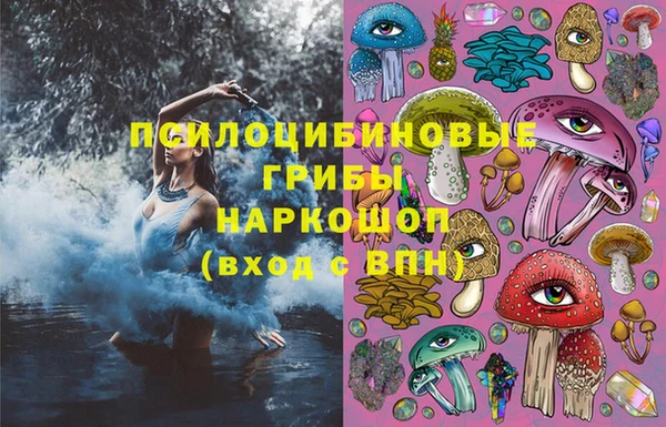 прущие грибы Беломорск
