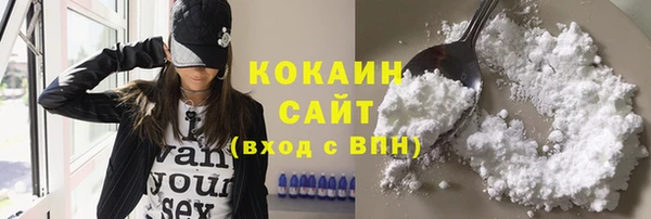 прущие грибы Беломорск