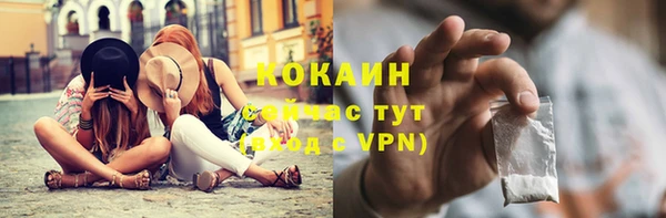 хмурый Тавда