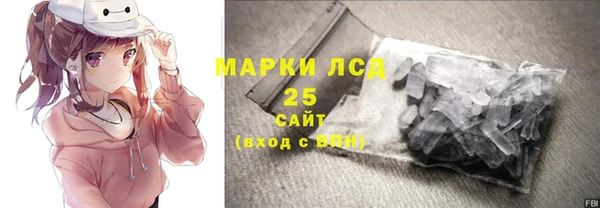 прущие грибы Беломорск