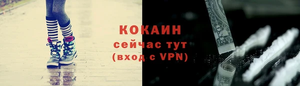 прущие грибы Беломорск