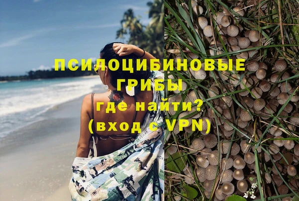 амфетамин Белокуриха