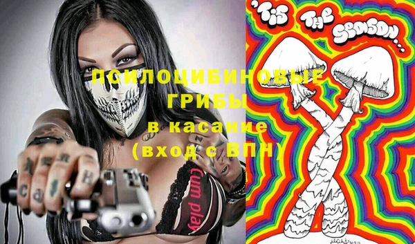 прущие грибы Беломорск