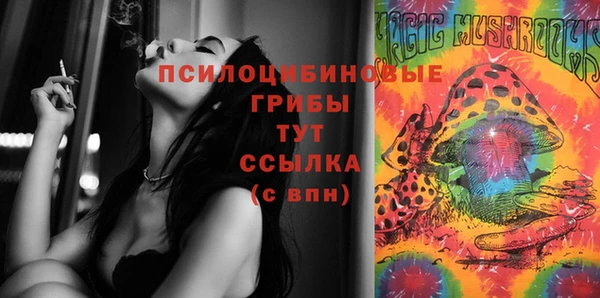 амфетамин Белокуриха
