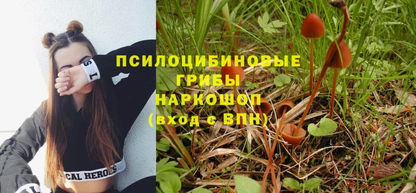 прущие грибы Беломорск