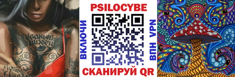 mega ONION  Великие Луки  Псилоцибиновые грибы мицелий 