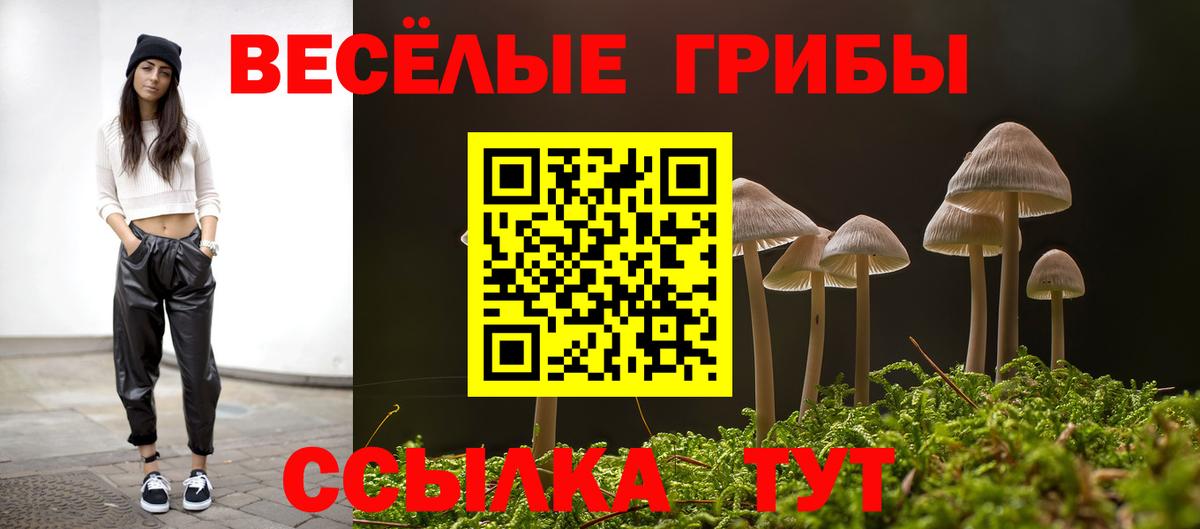 Галлюциногенные грибы Psilocybe Великие Луки